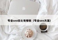 专业seo优化有哪些（专业seo方案）