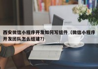 西安微信小程序开发如何写组件（微信小程序开发团队怎么组建?）