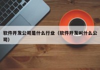 软件开发公司是什么行业（软件开发叫什么公司）