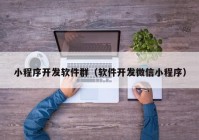 小程序开发软件群（软件开发微信小程序）