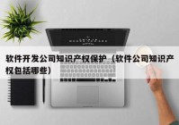 软件开发公司知识产权保护（软件公司知识产权包括哪些）