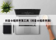 抖音小程序开发工具（抖音小程序开源）