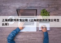 上海的软件开发公司（上海的软件开发公司怎么样）