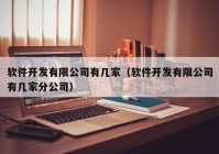 软件开发有限公司有几家（软件开发有限公司有几家分公司）