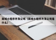 商城小程序开发公司（商城小程序开发公司是什么）